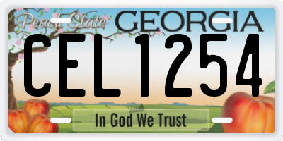 GA license plate CEL1254