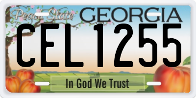 GA license plate CEL1255