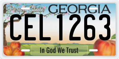 GA license plate CEL1263