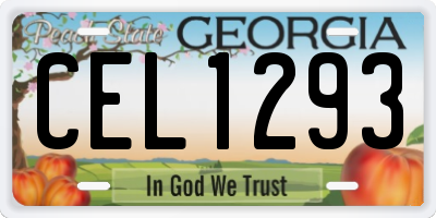 GA license plate CEL1293
