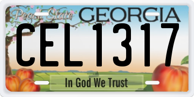 GA license plate CEL1317