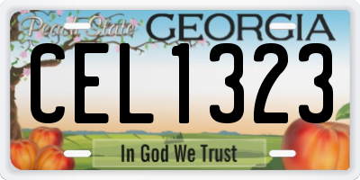 GA license plate CEL1323