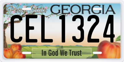 GA license plate CEL1324