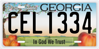 GA license plate CEL1334
