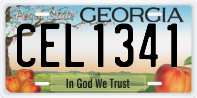GA license plate CEL1341