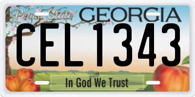 GA license plate CEL1343