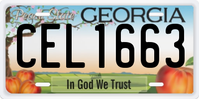 GA license plate CEL1663