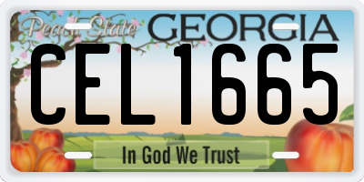 GA license plate CEL1665