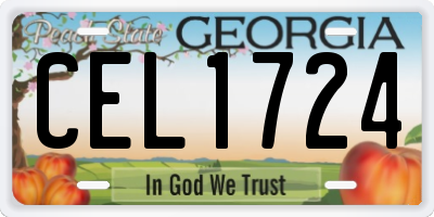 GA license plate CEL1724