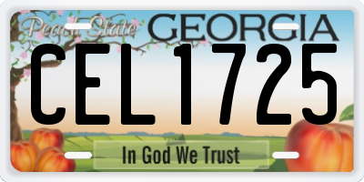 GA license plate CEL1725