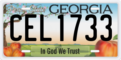 GA license plate CEL1733