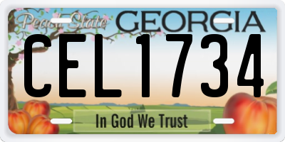 GA license plate CEL1734