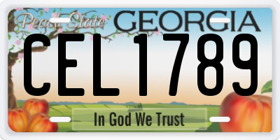 GA license plate CEL1789