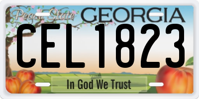 GA license plate CEL1823