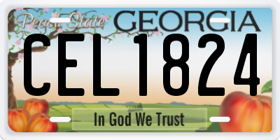 GA license plate CEL1824