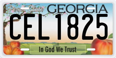GA license plate CEL1825