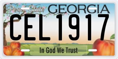 GA license plate CEL1917