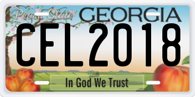 GA license plate CEL2018