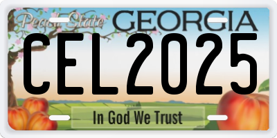 GA license plate CEL2025
