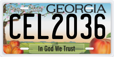 GA license plate CEL2036