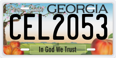GA license plate CEL2053