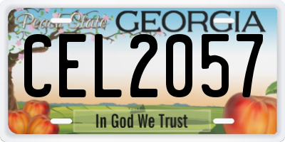 GA license plate CEL2057