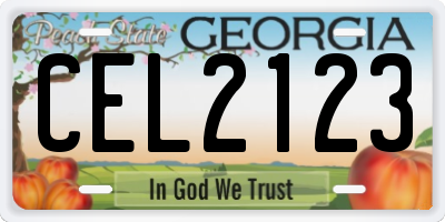 GA license plate CEL2123