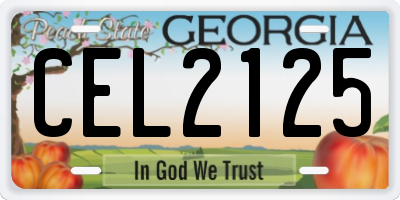 GA license plate CEL2125