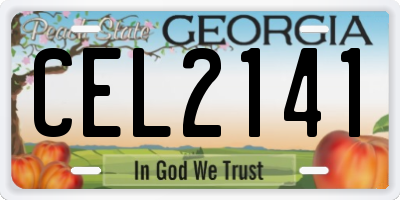 GA license plate CEL2141