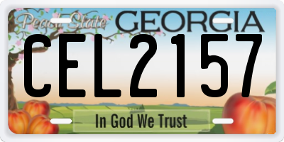 GA license plate CEL2157