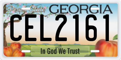 GA license plate CEL2161