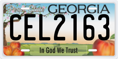 GA license plate CEL2163