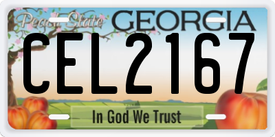 GA license plate CEL2167