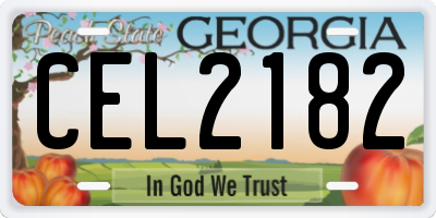 GA license plate CEL2182