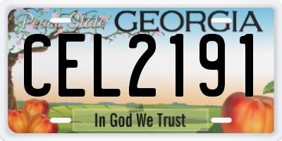 GA license plate CEL2191