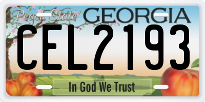 GA license plate CEL2193