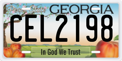 GA license plate CEL2198