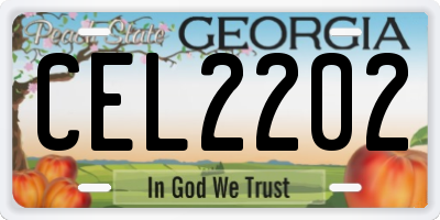 GA license plate CEL2202