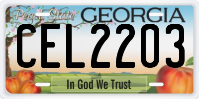 GA license plate CEL2203