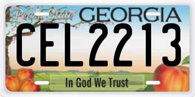 GA license plate CEL2213