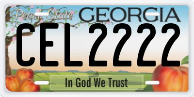 GA license plate CEL2222