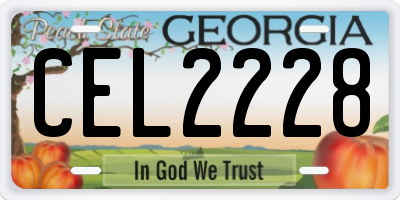 GA license plate CEL2228