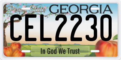 GA license plate CEL2230