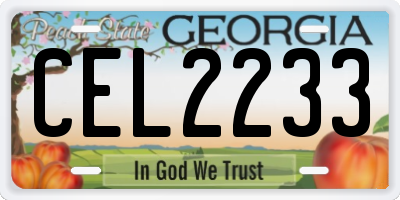 GA license plate CEL2233