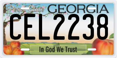 GA license plate CEL2238