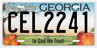 GA license plate CEL2241