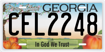 GA license plate CEL2248