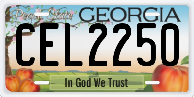 GA license plate CEL2250