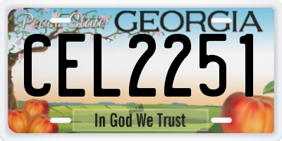 GA license plate CEL2251
