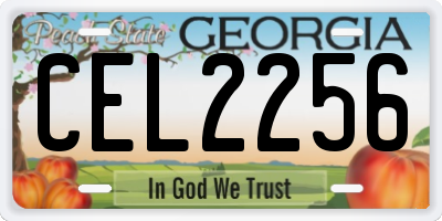 GA license plate CEL2256